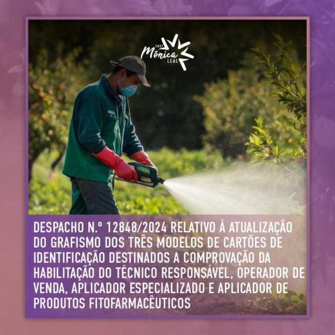 Despacho n.º 12848/2024 relativo à atualização do grafismo dos três modelos de cartões de identificação Despacho n.º 12848/2024 relativo à atualização do grafismo dos três modelos de cartões de identificação