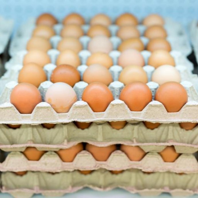 Despacho n.º 12849/2024 - Estabelece as normas de isenção relativamente à marcação dos ovos com o código do produtor e revoga o Despacho n.º 10050/2009, de 15 de abril. Despacho n.º 12849/2024 - Estabelece as normas de isenção relativamente à marcação dos ovos com o código do produtor e revoga o Despacho n.º 10050/2009, de 15 de abril.