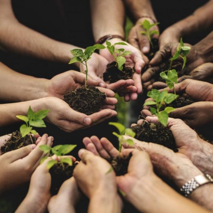 Dia Mundial da Educação Ambiental Dia Mundial da Educação Ambiental