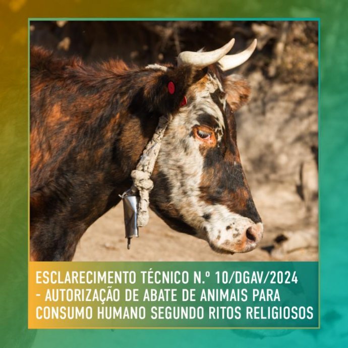 Esclarecimento Técnico n.º 10/DGAV/2024 - Autorização de abate de animais para consumo humano segundo ritos religiosos Esclarecimento Técnico n.º 10/DGAV/2024 - Autorização de abate de animais para consumo humano segundo ritos religiosos