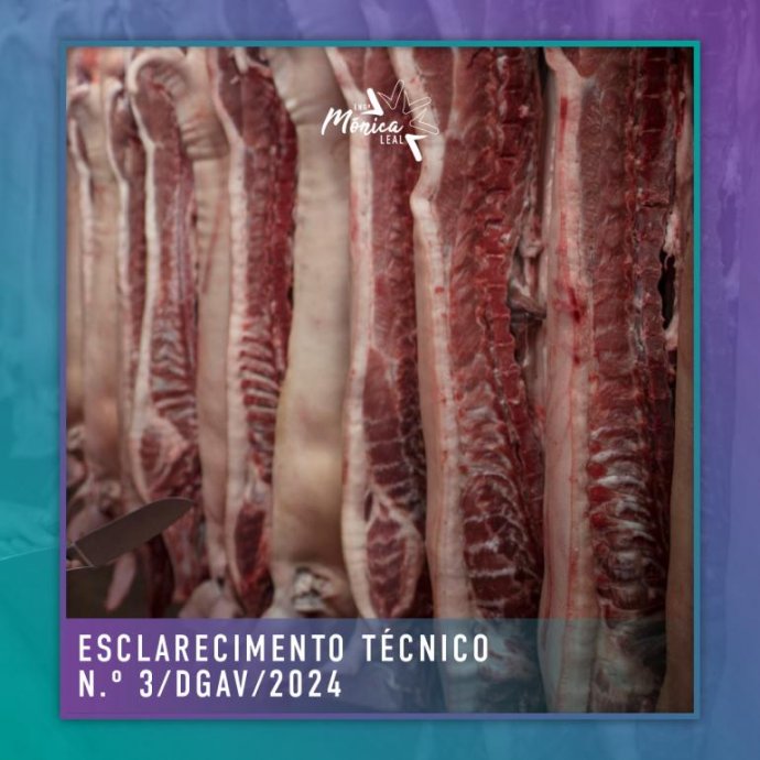 Esclarecimento Técnico n.º 3/DGAV/2024 Esclarecimento Técnico n.º 3/DGAV/2024