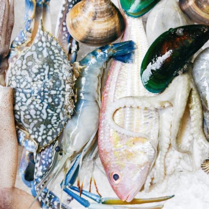 Esclarecimento Técnico n.º 6/DGAV/2025 - Segurança dos Alimentos - Utilização de água limpa em produtos da pesca e moluscos bivalves vivos