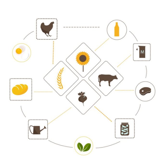 FAO - Atualização do documento “Transforming Food and Agriculture through a Systems Approach”