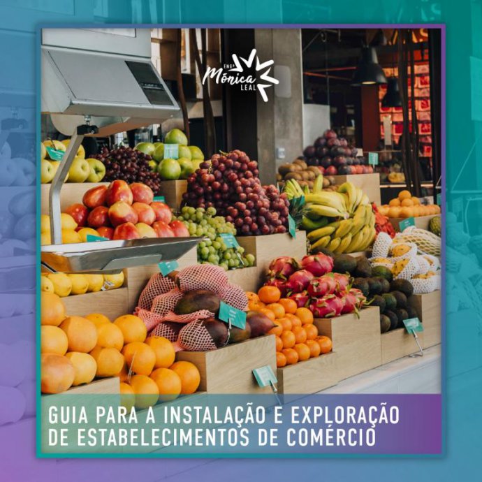 Guia para a Instalação e Exploração de Estabelecimentos de Comércio Guia para a Instalação e Exploração de Estabelecimentos de Comércio