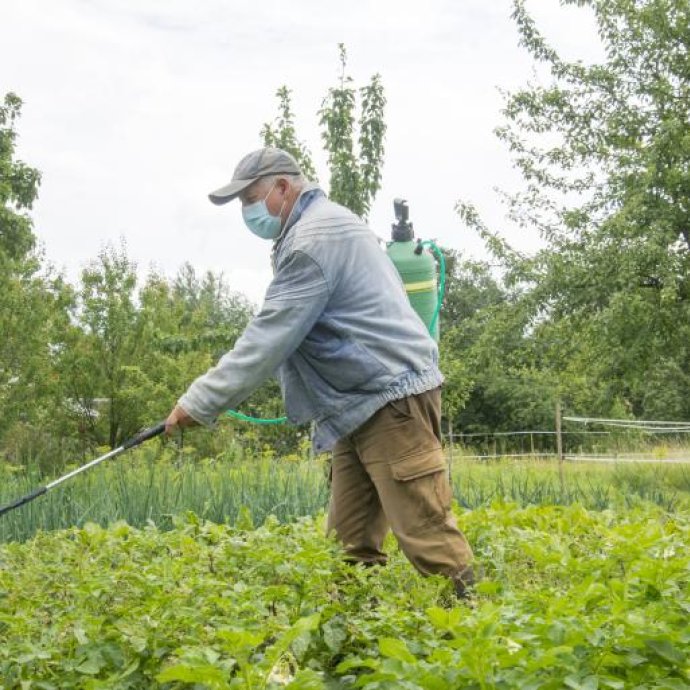 REGULAMENTO DE EXECUÇÃO(UE) 2025/973 que altera e retifica o Regulamento de Execução (UE) 2021/1165 que autoriza a utilização de determinados produtos e substâncias na produção biológica e que estabelece as listas respetivas