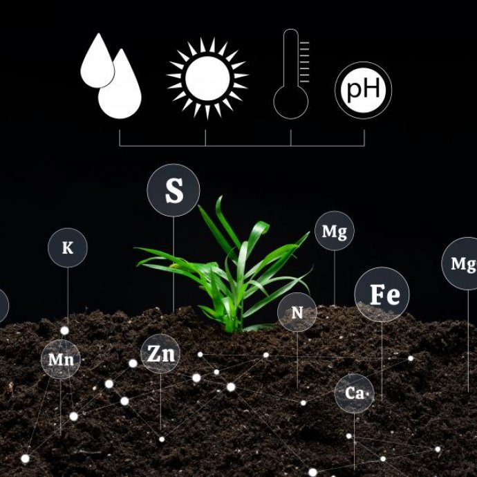Manual de Colheita de Amostras e de Dados no Campo do Sistema de Monitorização Nacional do Solo.
