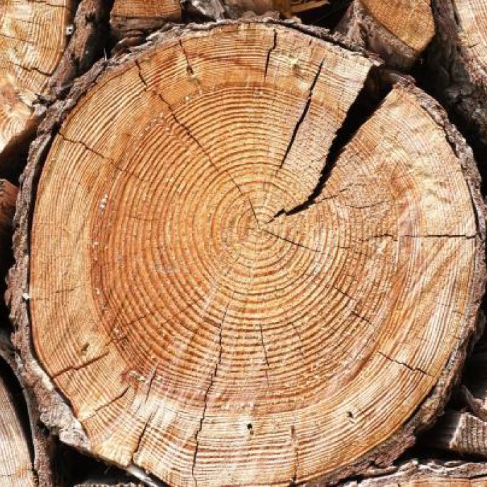 Manual de Rotulagem de Biocidas destinados à Proteção da Madeira Manual de Rotulagem de Biocidas destinados à Proteção da Madeira