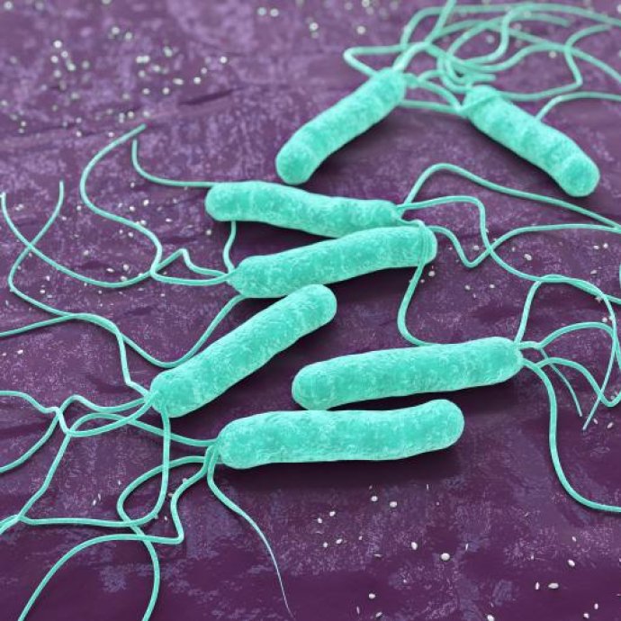 O Codex Alimentarius publicou a revisão de 2026 da CXG 61-2007, que estabelece orientações para a aplicação dos princípios gerais de higiene no controlo de Listeria monocytogenes, com especial enfoque nos alimentos prontos a consumir
