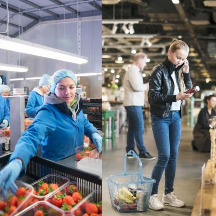 PAS 96:2026 – Food Defence: Protection and Prevention from Deliberate Acts