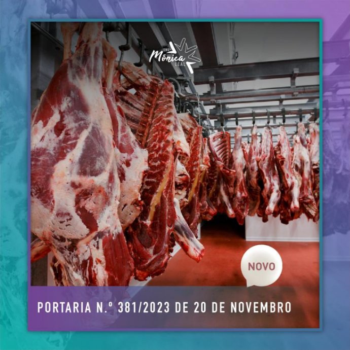 Portaria n.º 381/2023 de 20 de novembro Portaria n.º 381/2023 de 20 de novembro