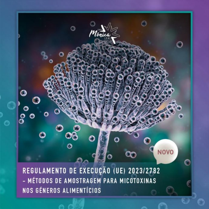 REGULAMENTO DE EXECUÇÃO (UE) 2023/2782 DA COMISSÃO REGULAMENTO DE EXECUÇÃO (UE) 2023/2782 DA COMISSÃO