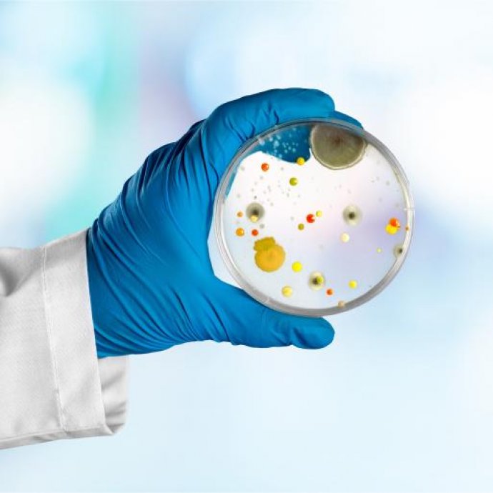 REGULAMENTO DE EXECUÇÃO (UE) 2024/2959 DA COMISSÃO que designa laboratórios de referência da União Europeia para a saúde pública - Água e Alimentos REGULAMENTO DE EXECUÇÃO (UE) 2024/2959 DA COMISSÃO que designa laboratórios de referência da União Europeia para a saúde pública - Água e Alimentos