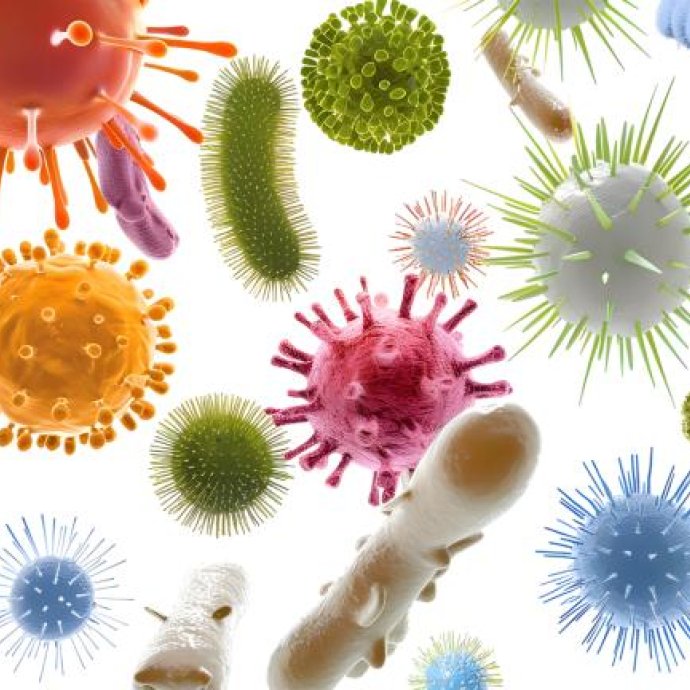 REGULAMENTO DE EXECUÇÃO (UE) 2025/179 DA COMISSÃO relativo à recolha e transmissão de dados analíticos moleculares no âmbito das investigações epidemiológicas de focos patogénicos de origem alimentar REGULAMENTO DE EXECUÇÃO (UE) 2025/179 DA COMISSÃO relativo à recolha e transmissão de dados analíticos moleculares no âmbito das investigações epidemiológicas de focos patogénicos de origem alimentar