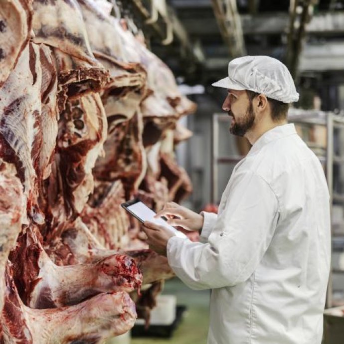 REGULAMENTO DE EXECUÇÃO(UE) 2025/1447 DA COMISSÃO - altera o Regulamento de Execução (UE) 2019/627 que estabelece disposições práticas uniformes para a realização dos controlos oficiais de produtos de origem animal destinados ao consumo humano REGULAMENTO DE EXECUÇÃO(UE) 2025/1447 DA COMISSÃO - altera o Regulamento de Execução (UE) 2019/627 que estabelece disposições práticas uniformes para a realização dos controlos oficiais de produtos de origem animal destinados ao consumo humano