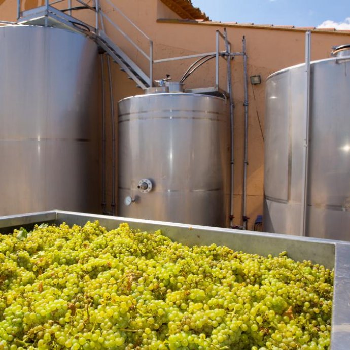 REGULAMENTO DELEGADO (UE) 2024/3085 DA COMISSÃO - respeitante às práticas enológicas autorizadas REGULAMENTO DELEGADO (UE) 2024/3085 DA COMISSÃO - respeitante às práticas enológicas autorizadas