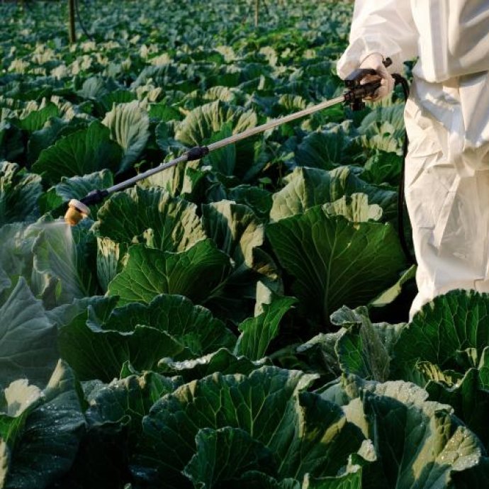 Regulamento (UE) 2026/1120 da Comissão - Substâncias proibidas como coformulantes em produtos fitofarmacêuticos