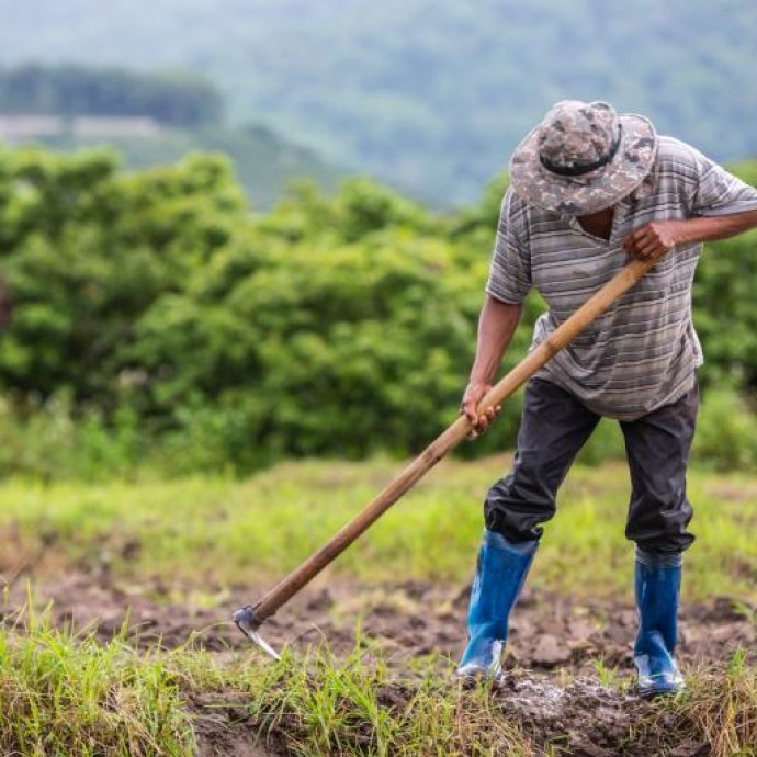 Regulamento (UE) 2026/1739 - Reforço da posição dos agricultores na cadeia de abastecimento alimentar