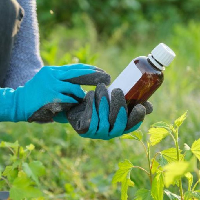 REGULAMENTO(UE) 2026/1123 DA COMISSÃO - que estabelece requisitos de rotulagem dos produtos fitofarmacêuticos e revoga o Regulamento (UE) n.º 547/2011