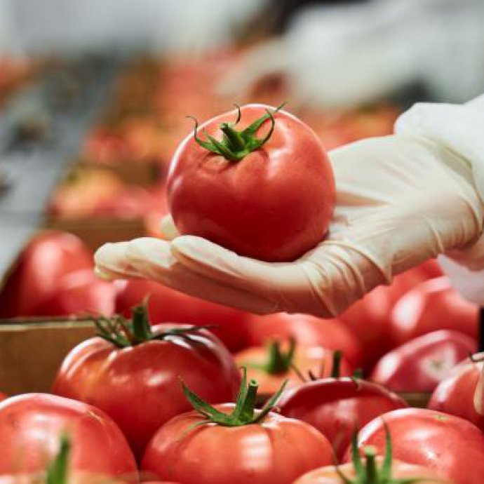 Saiu hoje a versão nº8 do IFS Food Standard Saiu hoje a versão nº8 do IFS Food Standard