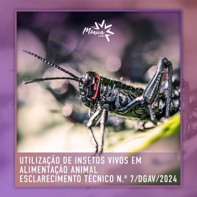 Utilização de Insetos Vivos em Alimentação Animal - Esclarecimento Técnico n.º 7/DGAV/2024 Utilização de Insetos Vivos em Alimentação Animal - Esclarecimento Técnico n.º 7/DGAV/2024